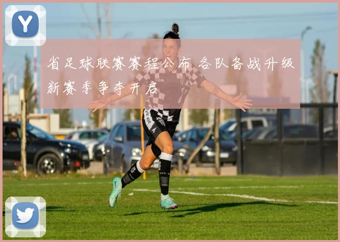 省足球联赛赛程公布 各队备战升级新赛季争夺开启