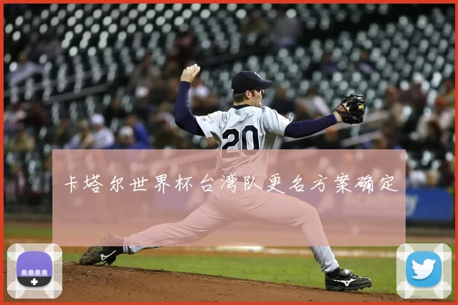 卡塔尔世界杯台湾队更名方案确定