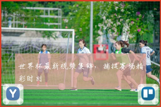 世界杯最新视频集锦,捕捉赛场精彩时刻