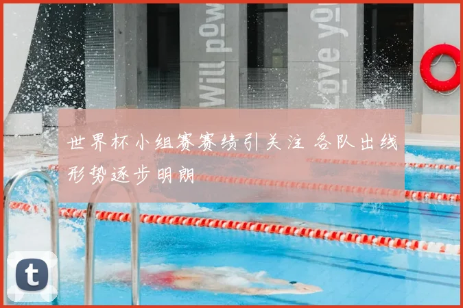 世界杯小组赛赛绩引关注 各队出线形势逐步明朗