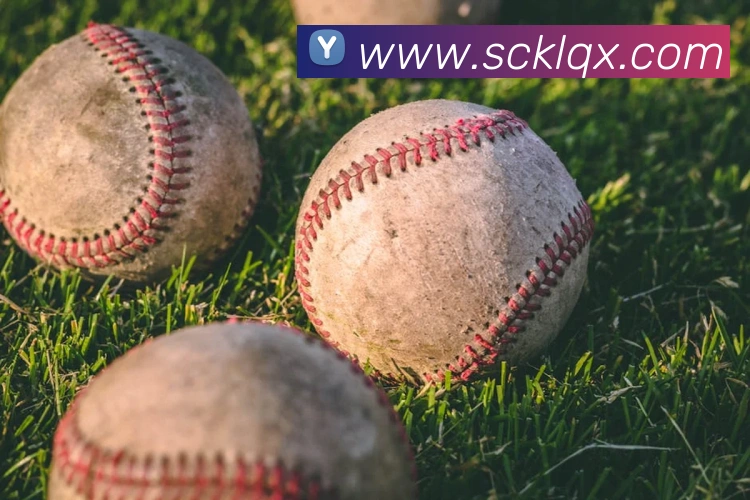 App 展示图